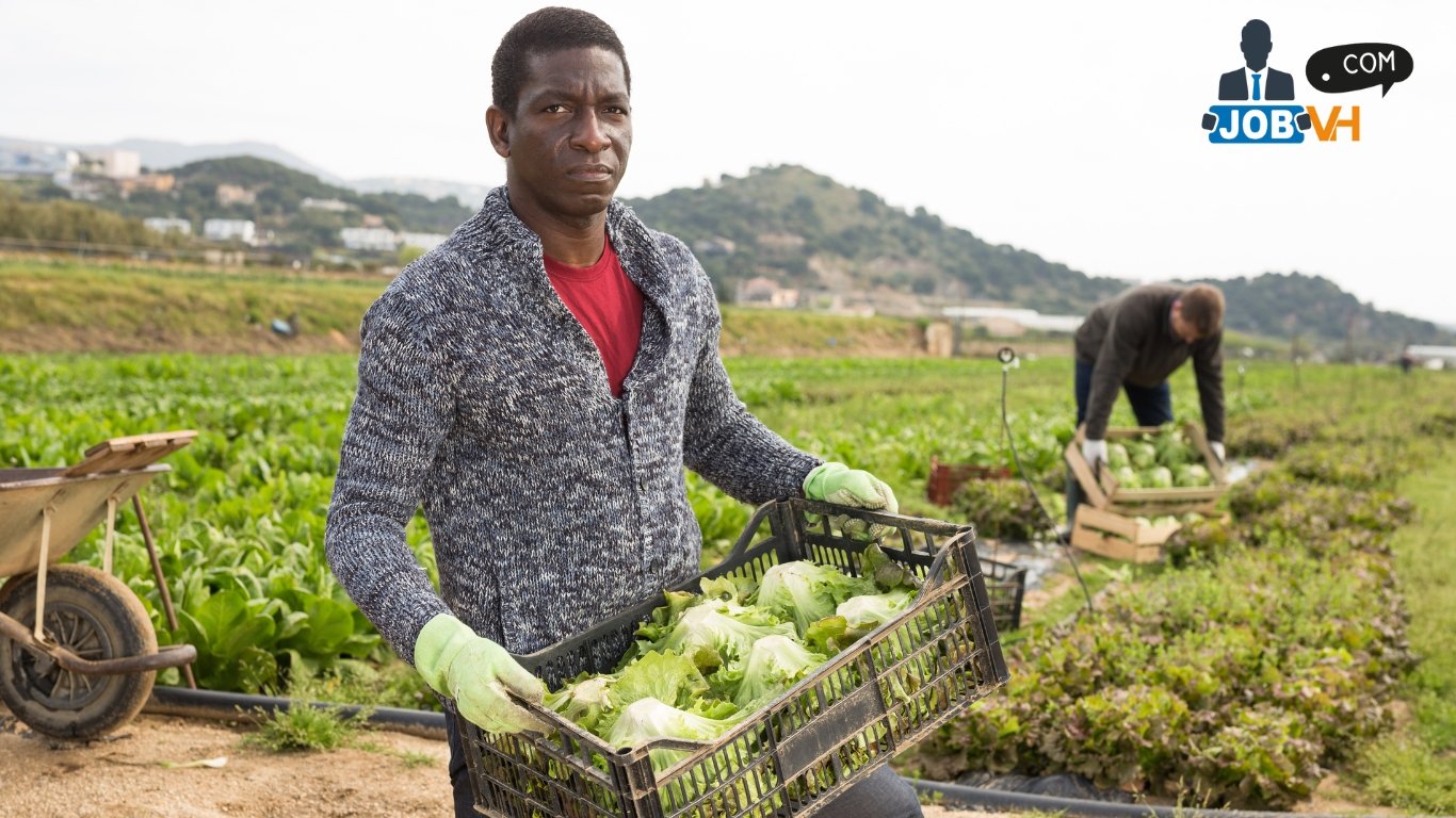 Farm Worker Jobs in Italy 2026